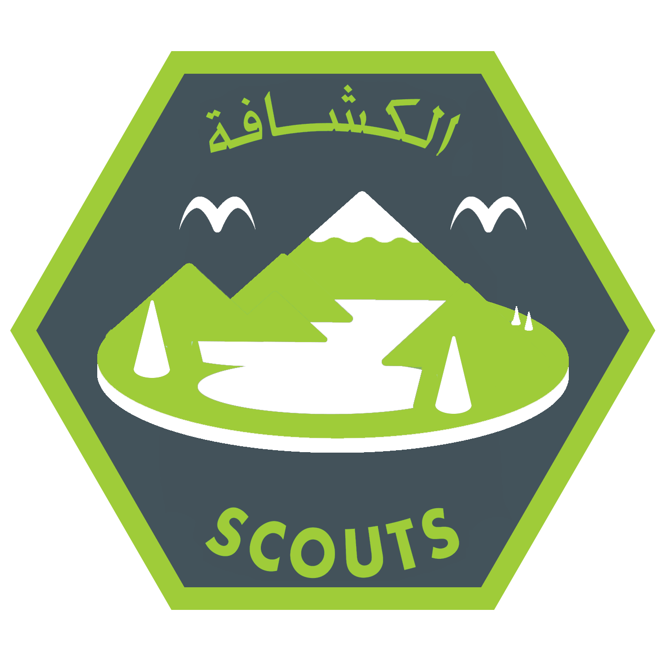 شارة البيئية