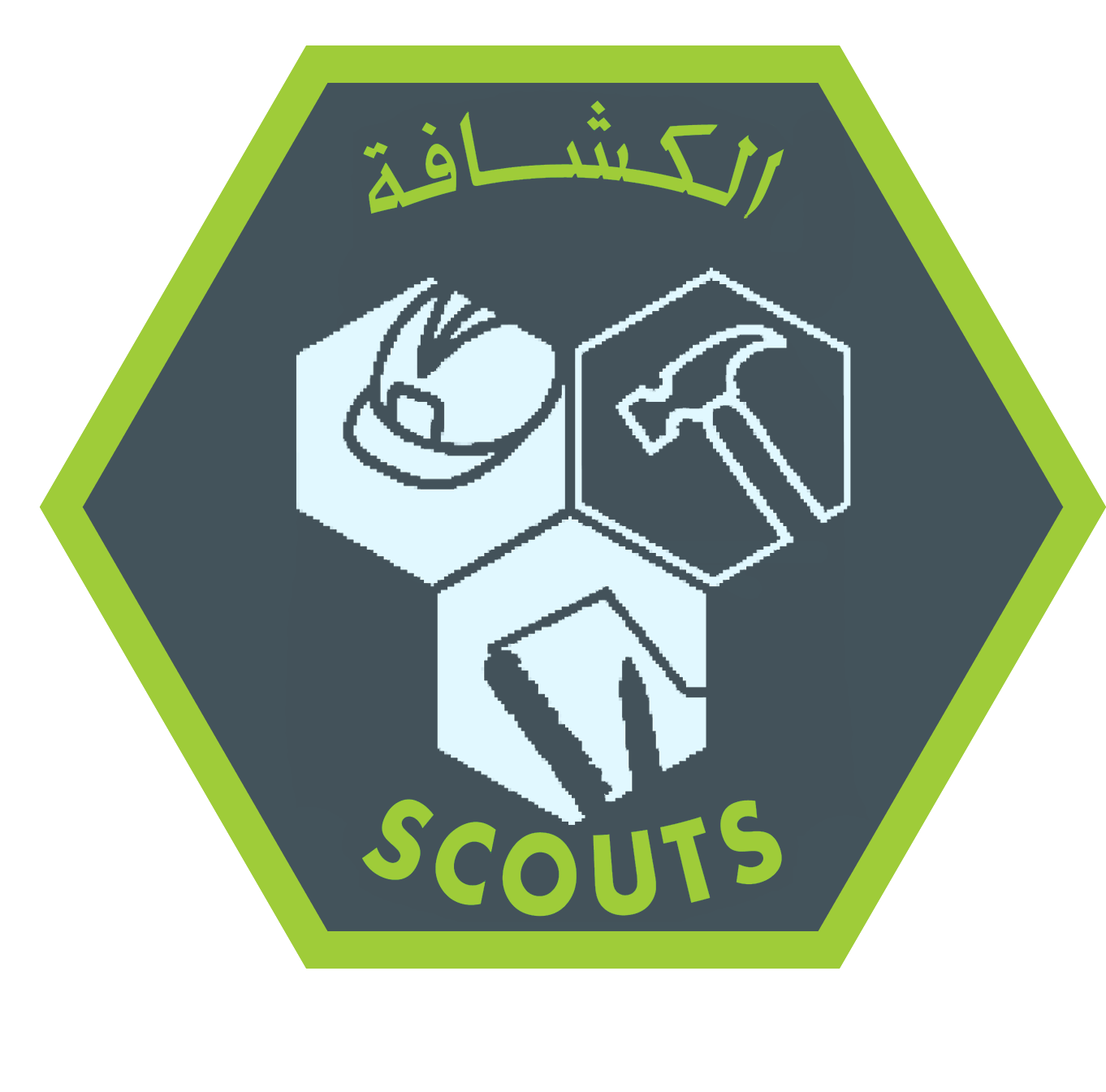 شارة المهنية