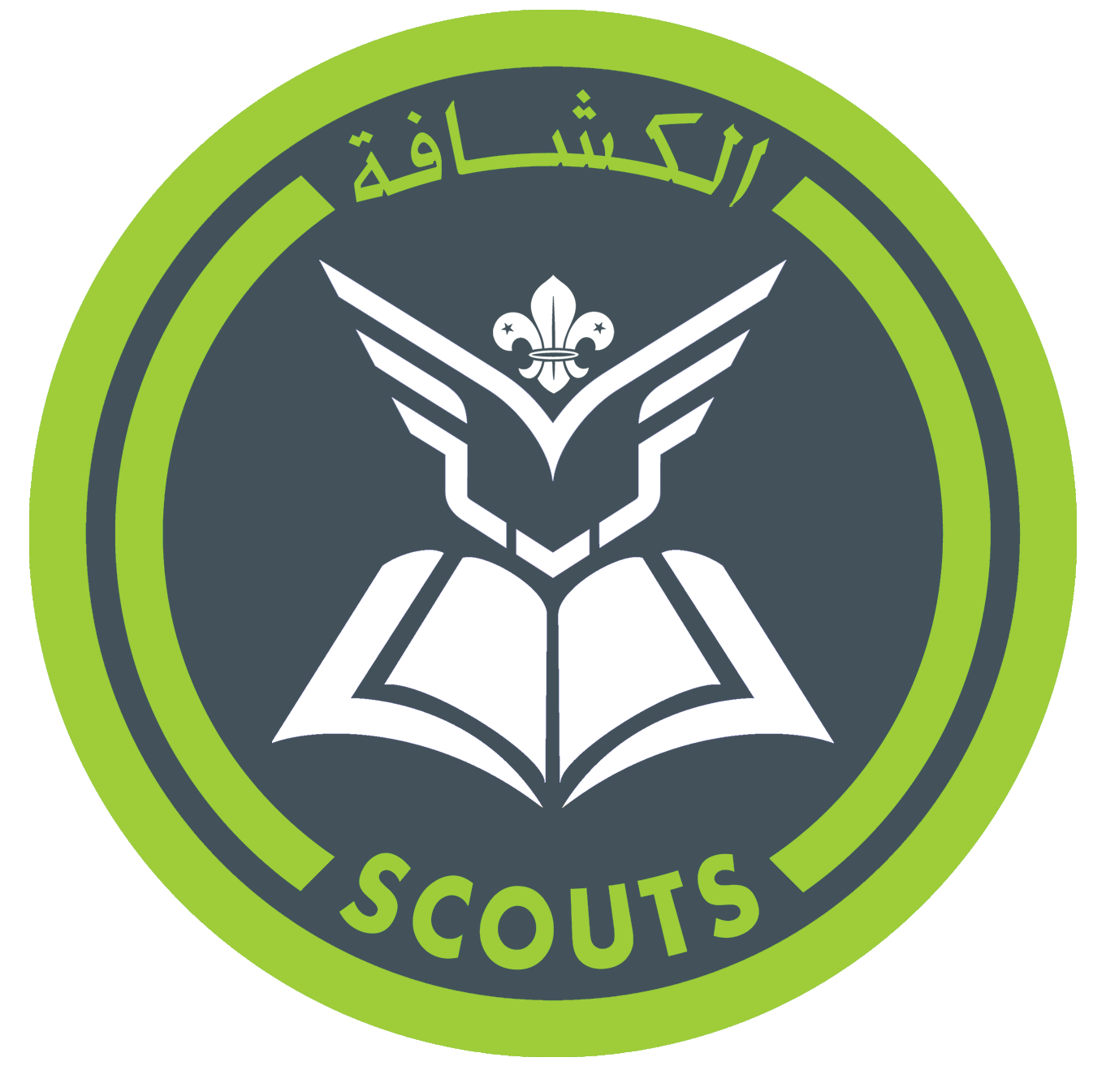 شارة هاوى الثقافة الجوية