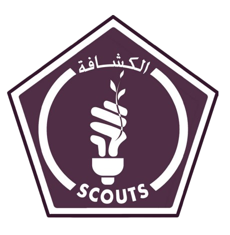 شارة المحافظ علي الطاقة